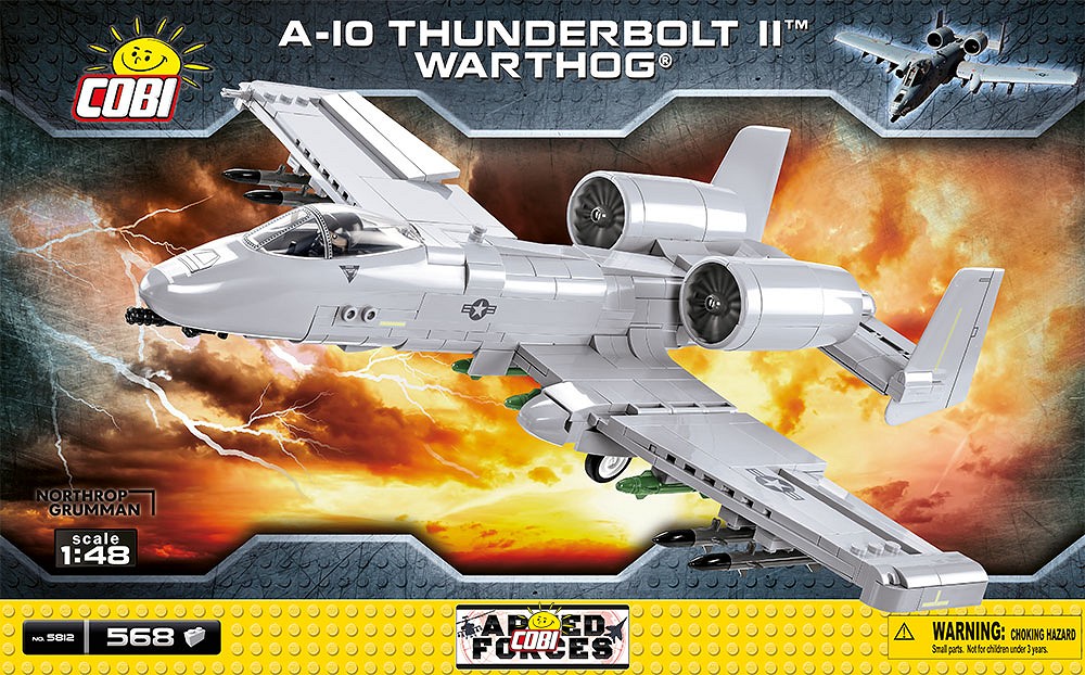 A-10 Thunderbolt II Warthog - fot. 3