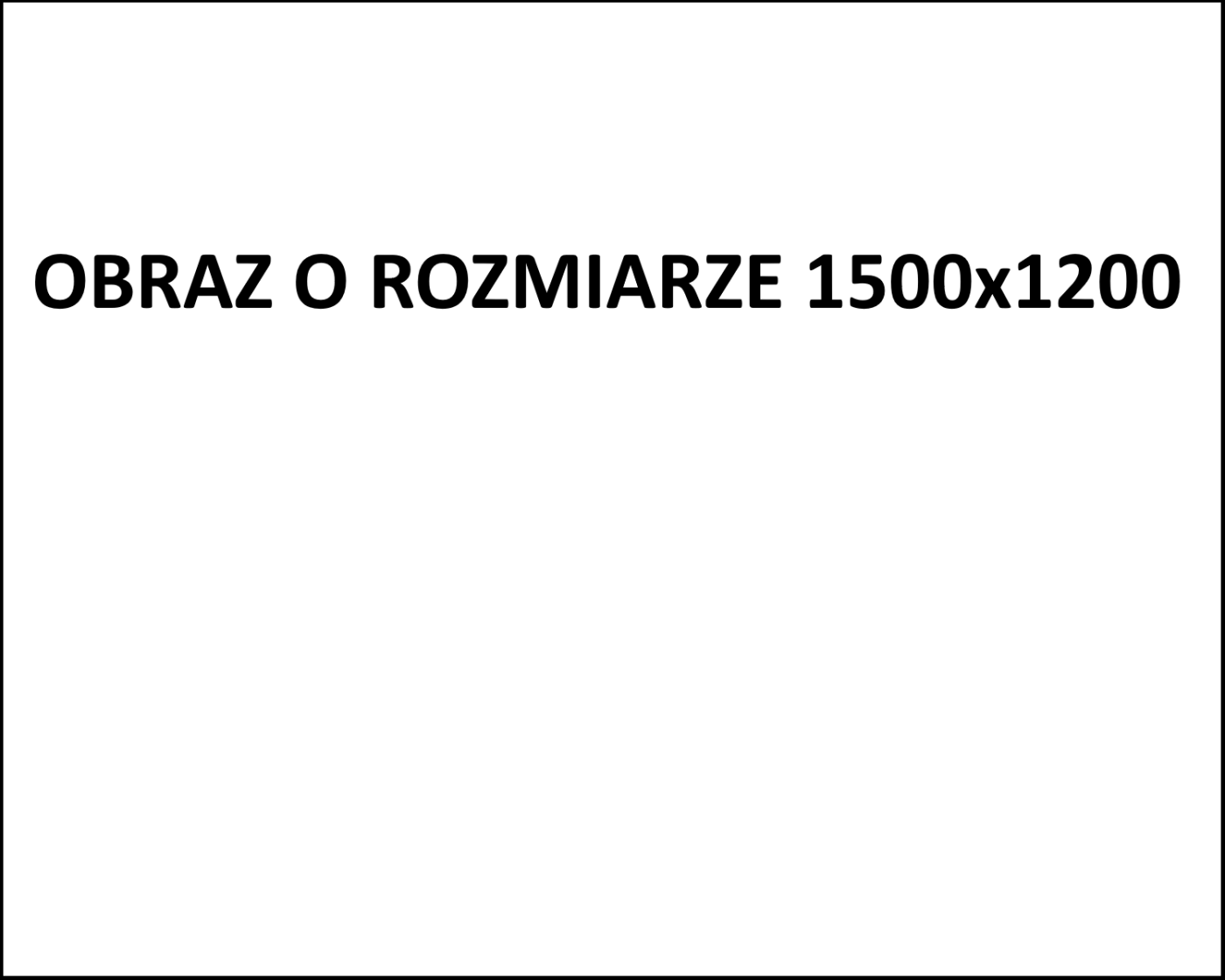 Testowy artykuł z obrazem 1500x1200